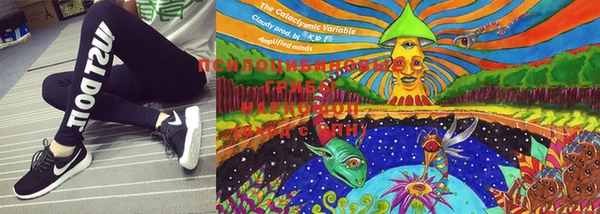 соль ск Сясьстрой