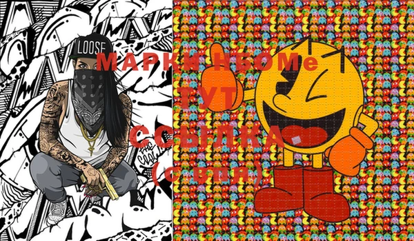 прущие грибы Тайга