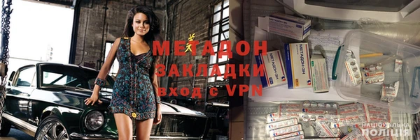 прущие грибы Тайга